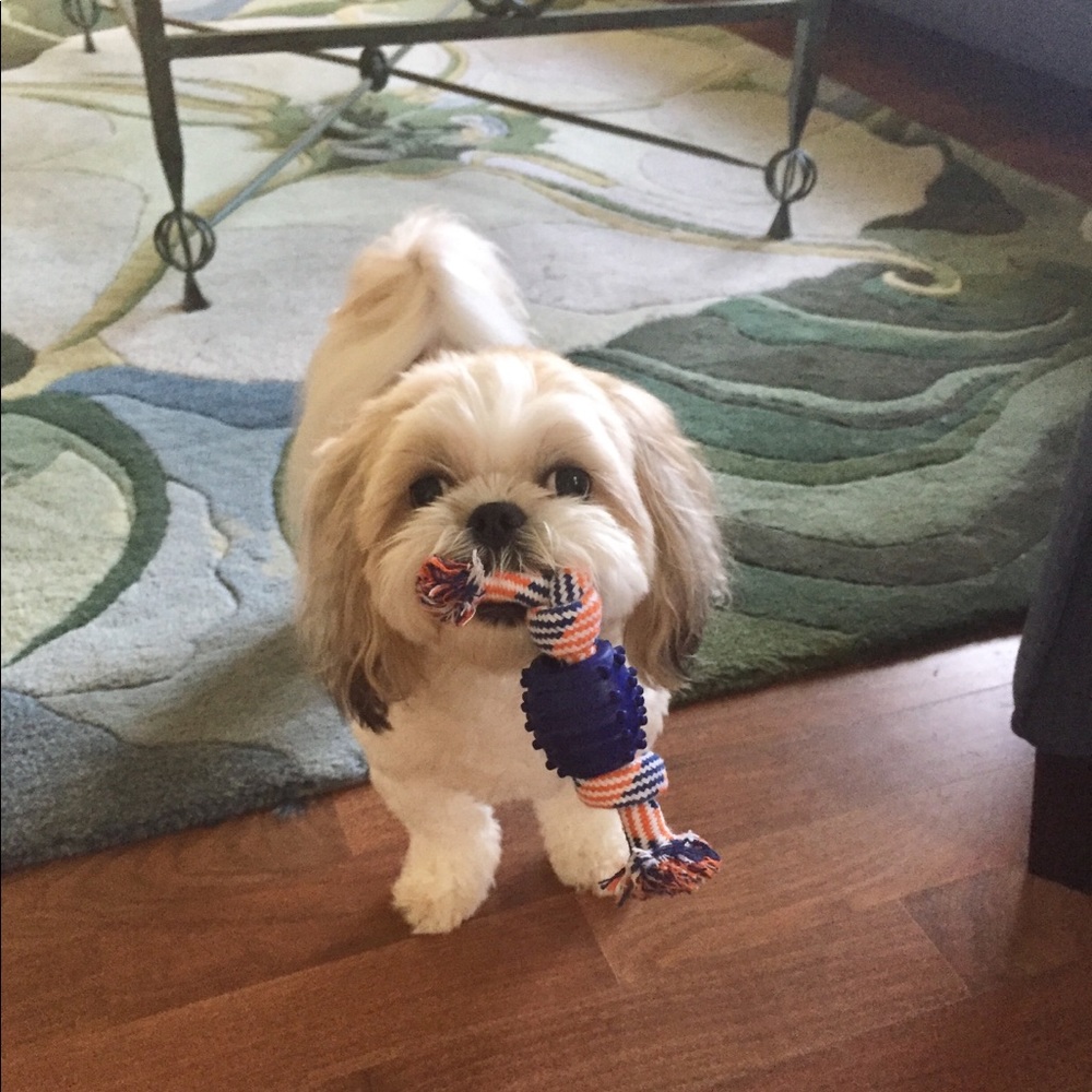 Meet your Posher, Maddy